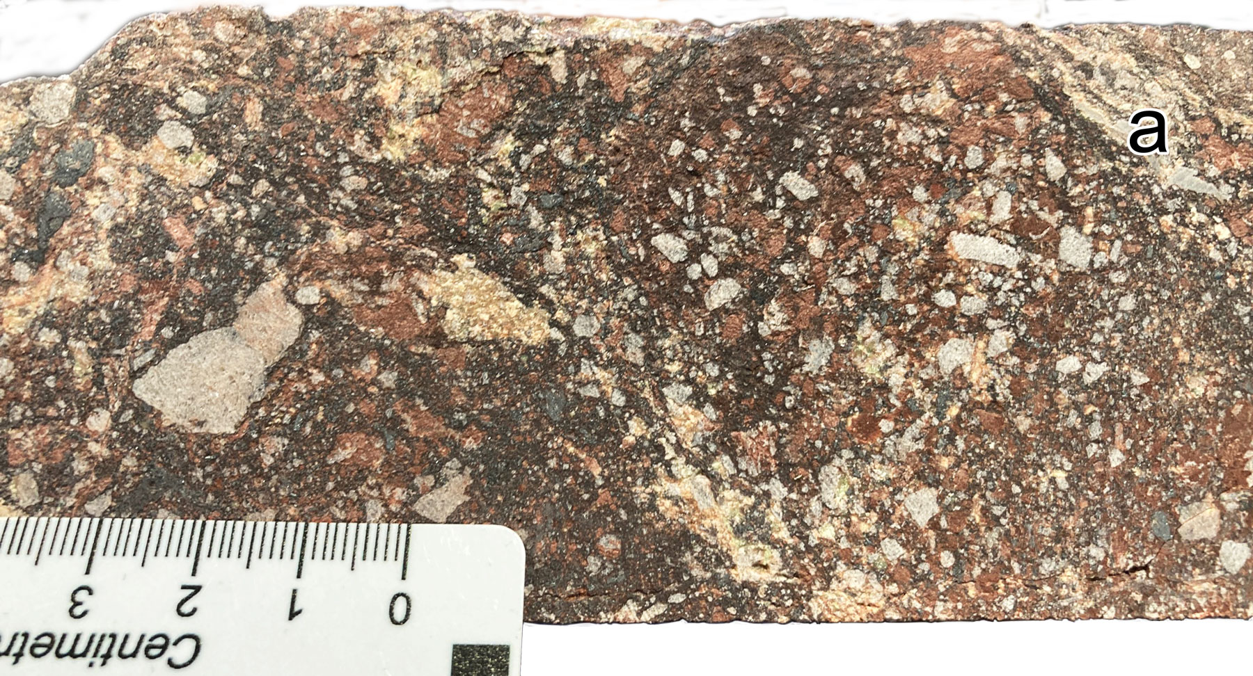 Carrapateena chlorite bearing granite breccia