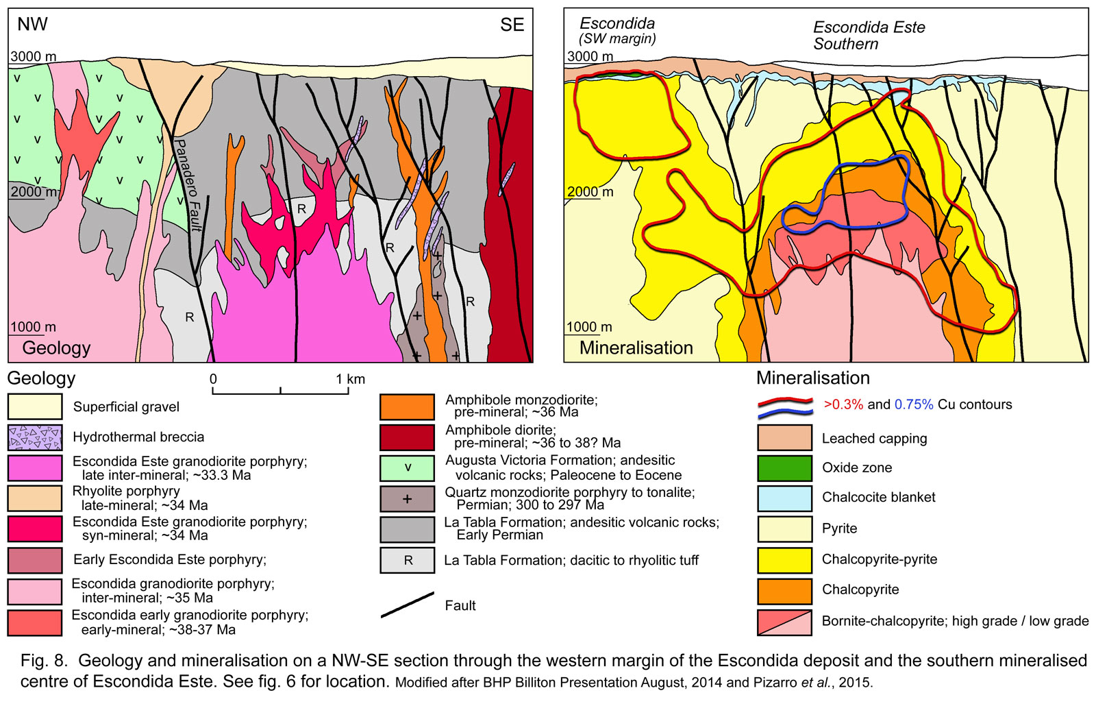 Escondida Este Southern Centre Geology alteration mineralisation cross section