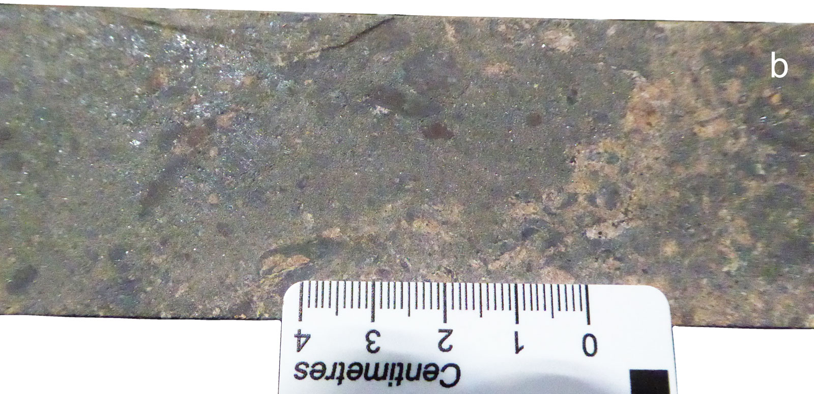 Prominent Hill heteroliithic breccia, hematite altered